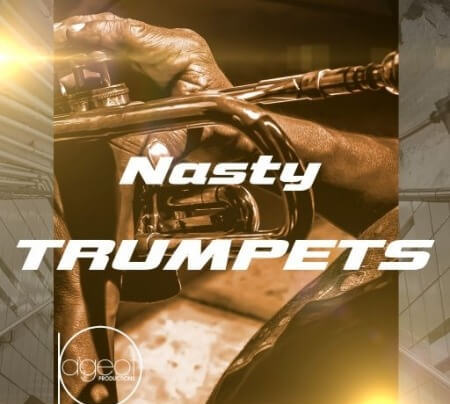 Steve Pageot Nasty Trumpets WAV